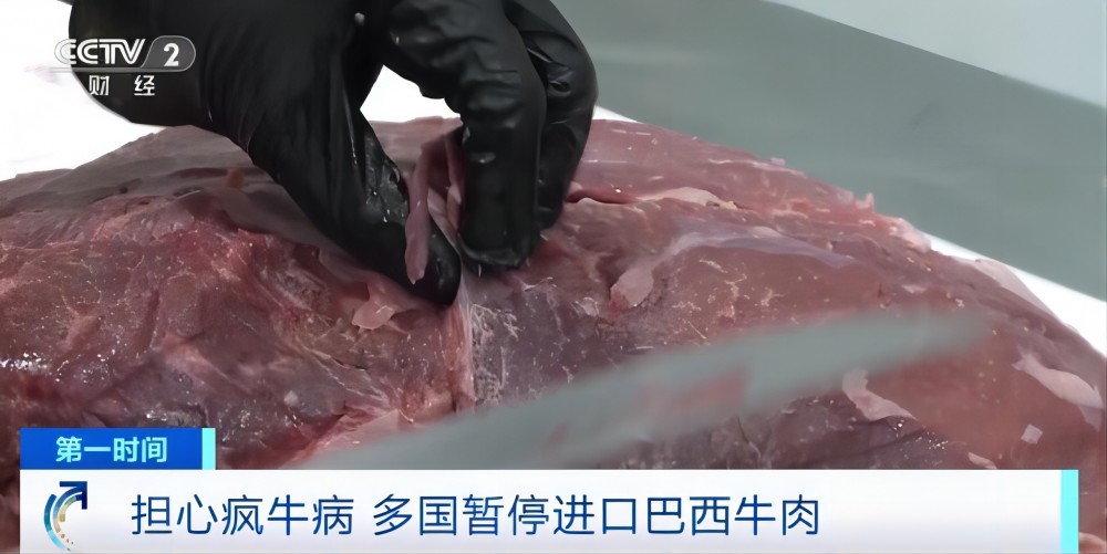 非典型瘋牛病 巴西牛肉