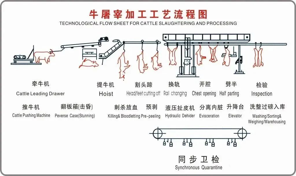 牛屠宰加工工藝流程圖