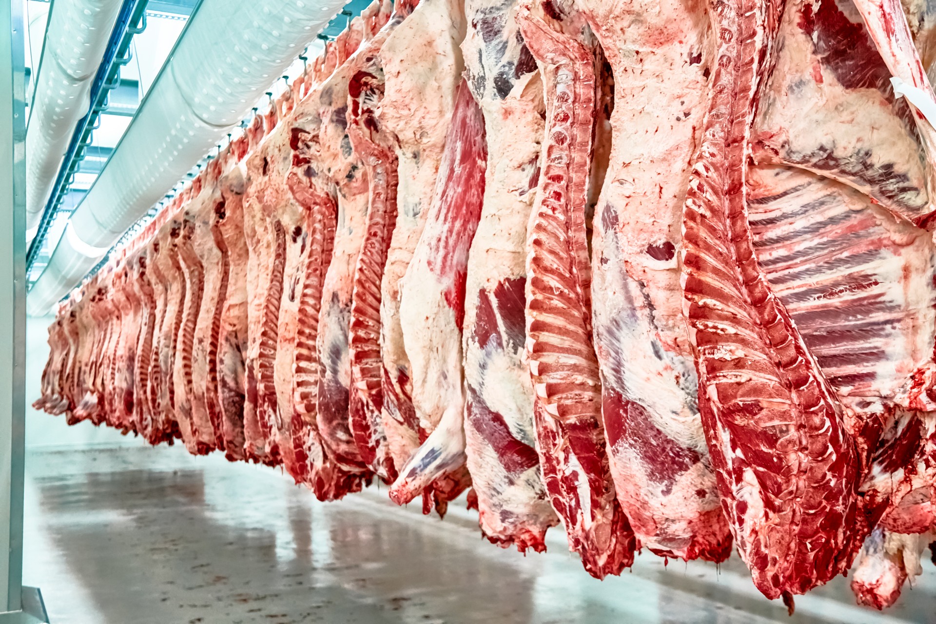 牛肉熱處理