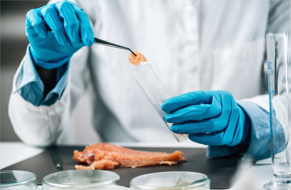 肉及肉制品檢疫