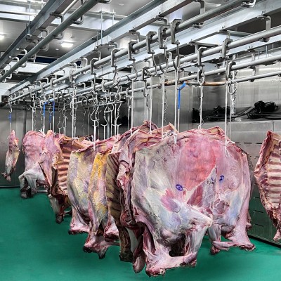 【期貨】烏拉圭52廠草飼牛肉四分體批發(fā)5柜起訂六月前發(fā)貨