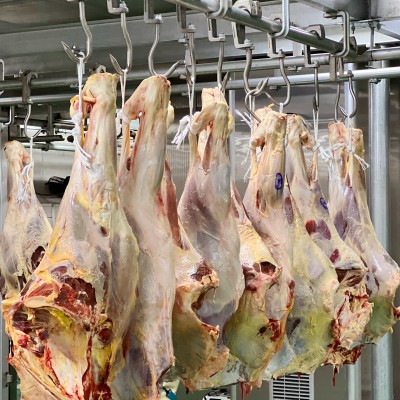 【期貨】烏拉圭85廠的一批草飼牛前腱10噸起訂9月交貨