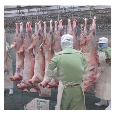 【期貨】蒙古國胴體羊去內臟5噸起批6月底發貨