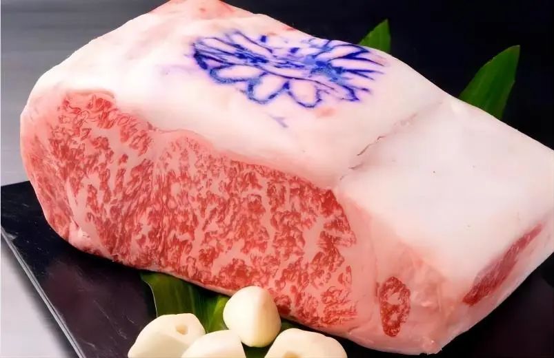 野路菊標(biāo)記