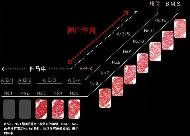 牛肉霜降度
