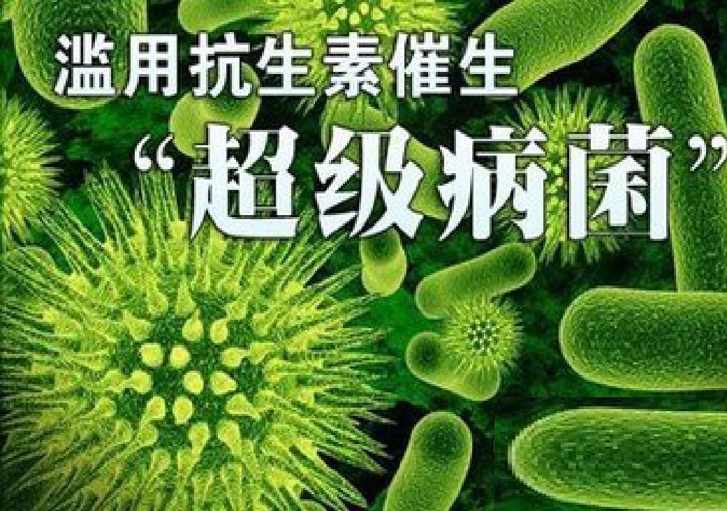 抗生素過度導致超級病菌