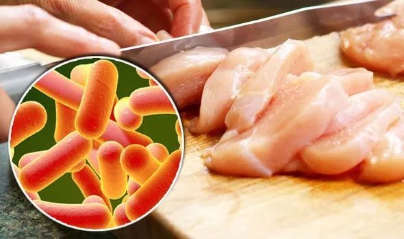 肉類細菌污染