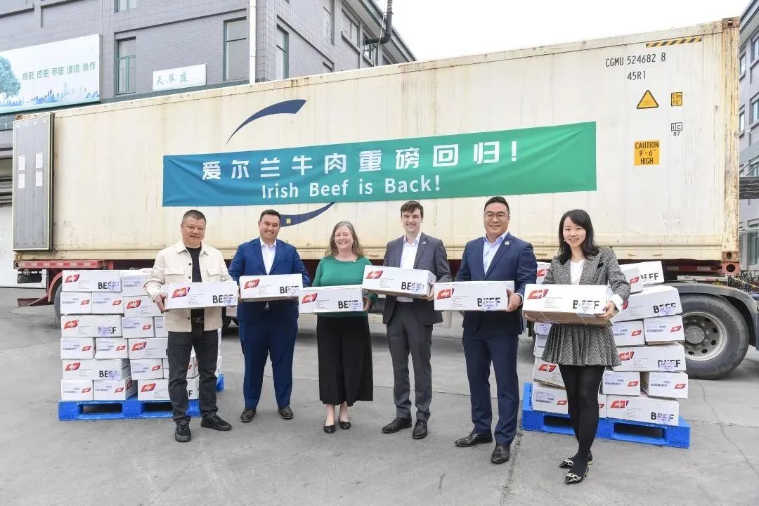 愛爾蘭牛肉回歸中國市場