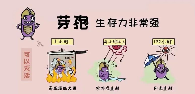 炭疽芽孢抵抗力