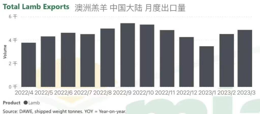 澳洲羔羊出口中國大陸月度出口量