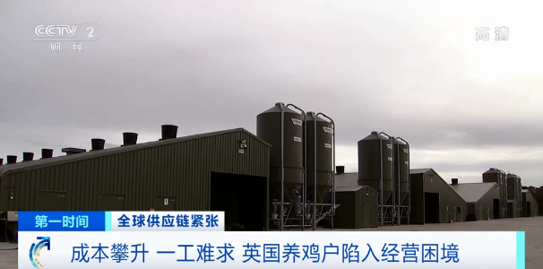 英國養殖戶持續減少
