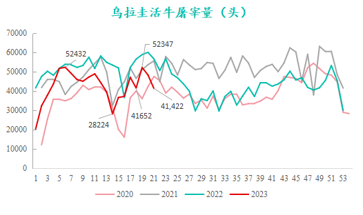烏拉圭活牛屠宰量