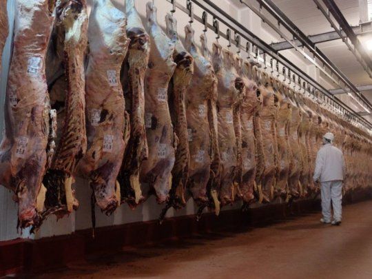 阿根廷牛肉出口