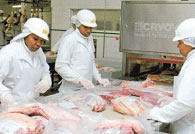 牛肉切塊包裝