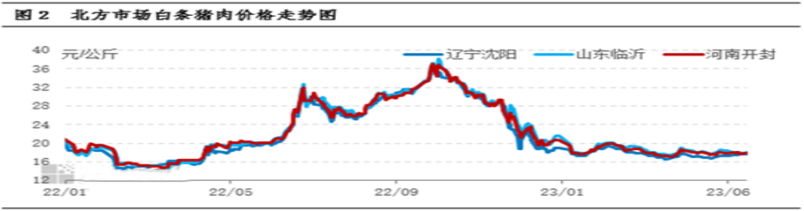 北方市場白條豬肉價格走勢圖