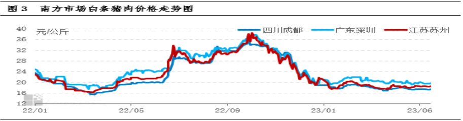 南方市場白條豬肉價格走勢圖