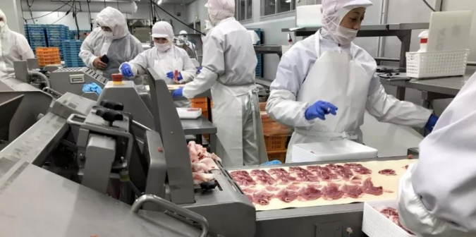 巴西牛肉加工廠