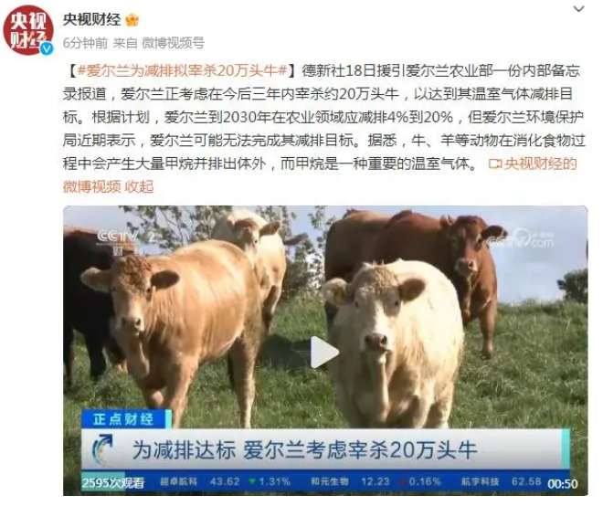 央視財經報道