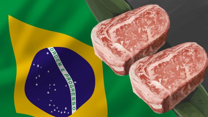 巴西牛肉出口