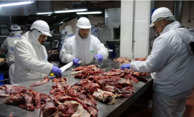 巴西牛肉批發(fā)價(jià)格下跌