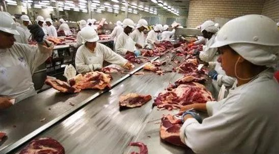 巴拉圭牛肉出口