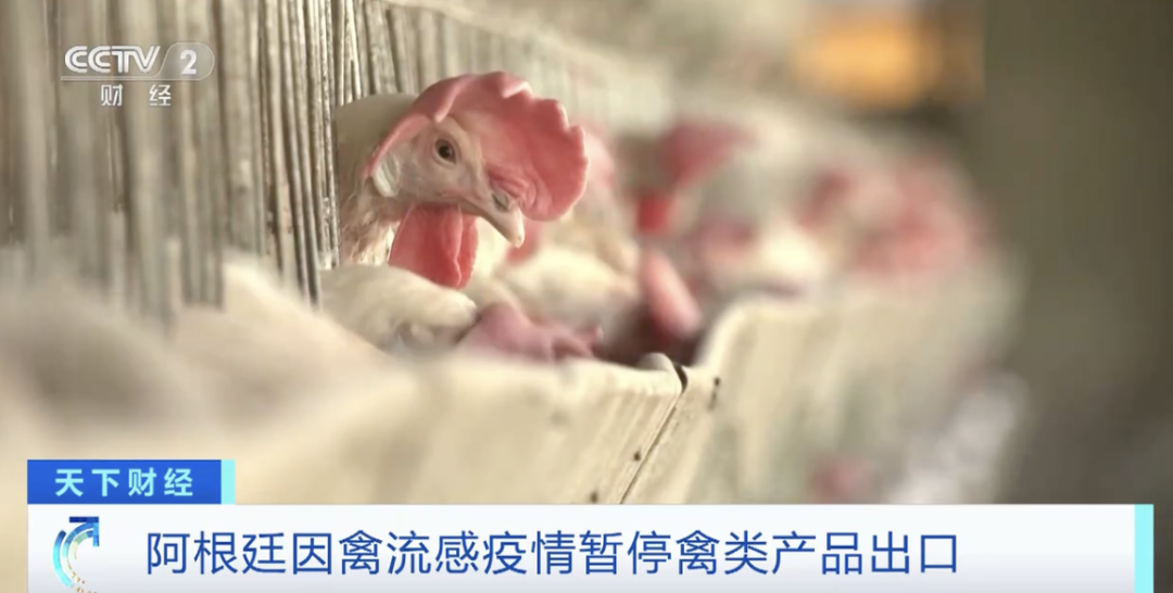 阿根廷因禽流感暫停禽類產(chǎn)品出口