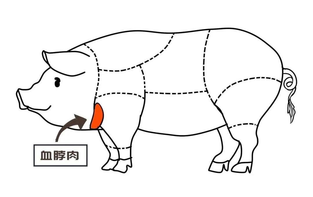 血脖肉