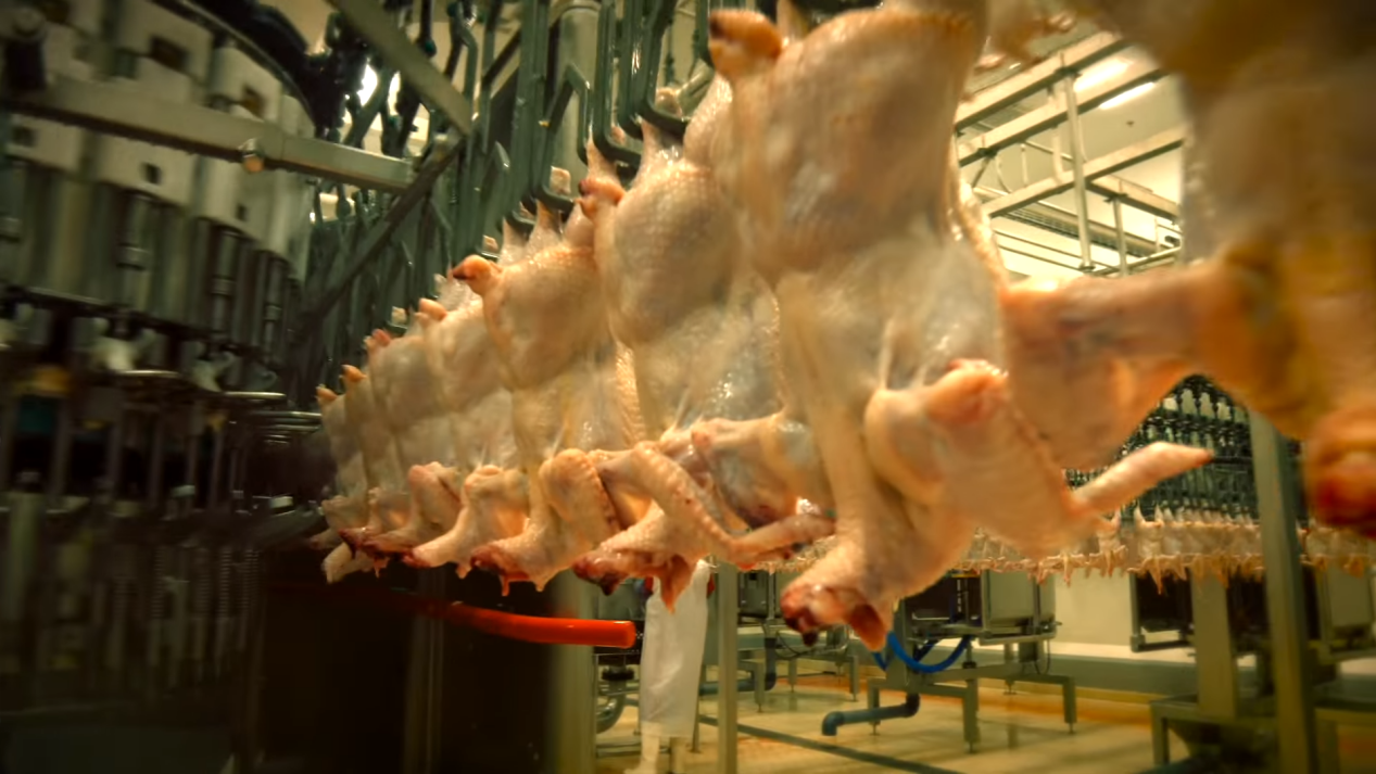 阿根廷輸華肉類