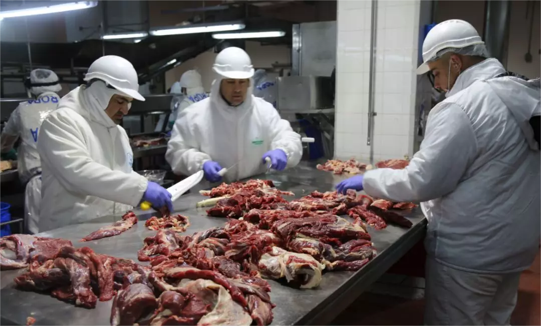 阿根廷牛肉出口