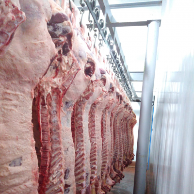 120天內發貨阿根廷牛胴體谷飼牛肉6噸起批