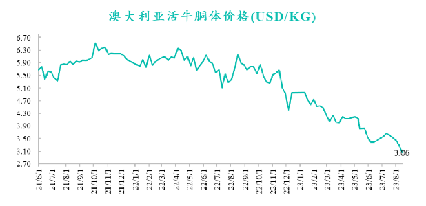 澳大利亞活牛胴體價格