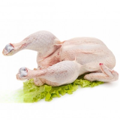 美國P17966廠整雞現貨現發25kg