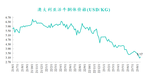 澳大利亞活牛胴體價格